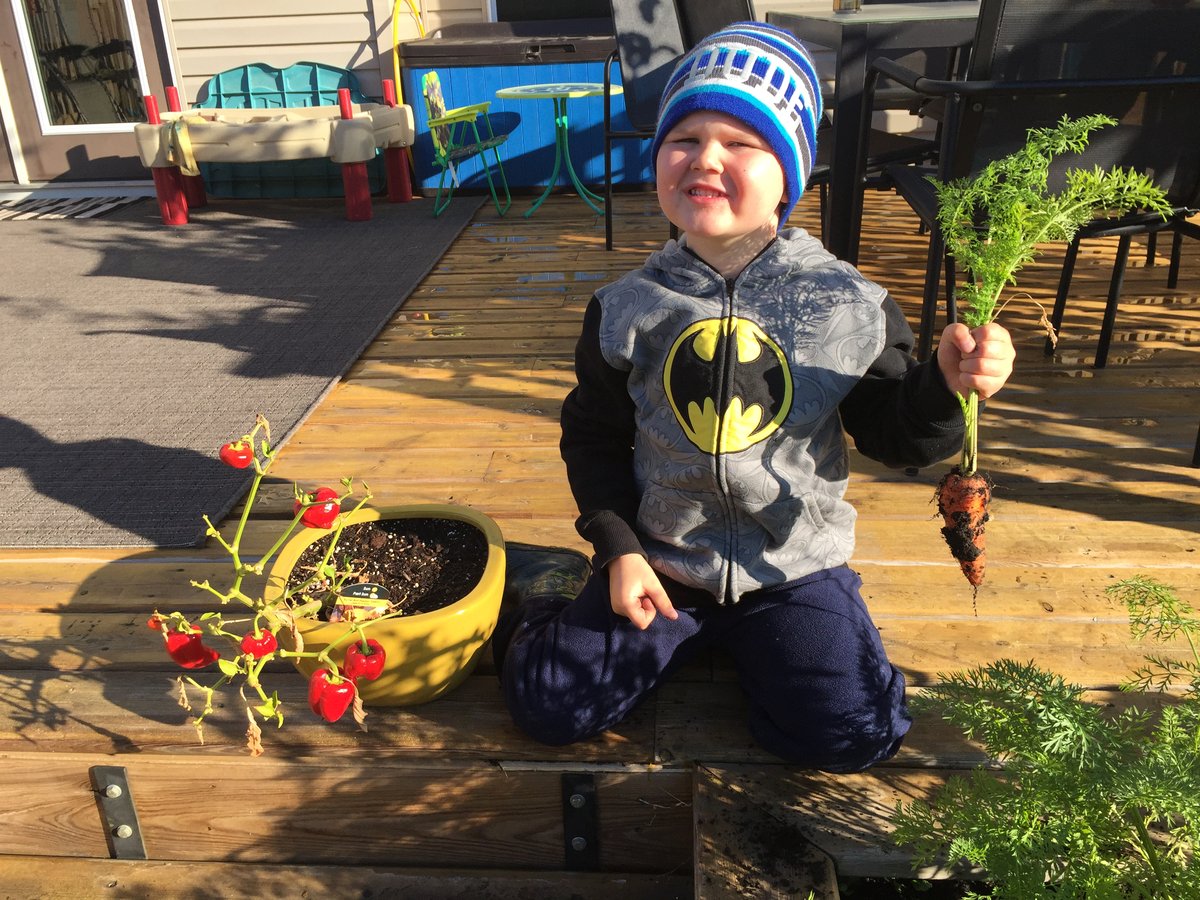 Gardening blog - son with carrot